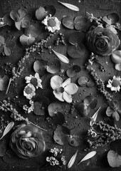 Floral leaves romance decoration freshness lush