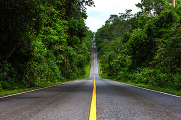 The road on the Khao Yai National Park in Thailand.