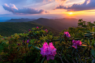 Sunset at the Blue Ridge Mountains in the spring is an amazing experience. The explosion of colors from the flowers and wildlife comes alive.  - obrazy, fototapety, plakaty
