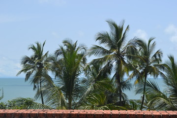 Fototapeta na wymiar Îles du Salut de Guyane