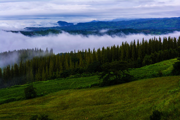 Background blur white mist floating on the mountain.