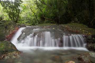Fototapeta premium 四級親水公園