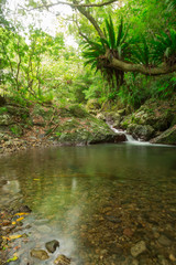 Obraz premium 四級親水公園