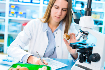 Champignon mushroom research in laboratory.  Food Processing and Quality Control mushroom