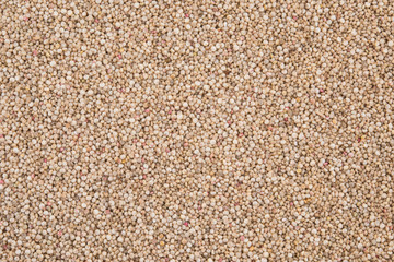 Organic Quinoa (Chenopodium quinoa) seeds,healthy vegan food concep  on white background.