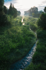 Misty morning. Small creek in foggy forest.