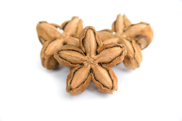 Plukenetia volubilis, sacha peanut, or sacha inchi on white background, herb and nature