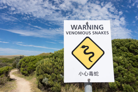 Snake Warning Sign