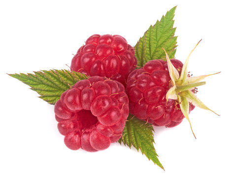 fresh raspberry isolated on white background