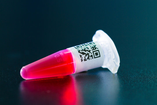 centrifuge test tubes for genetic identification of parent, DNA-Based Human Identification qr code