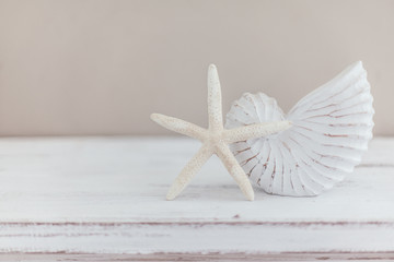 Shabby chic interior decor