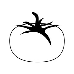 tomato fruit icon image