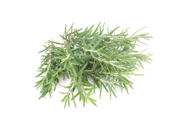 rosemary isolated on white background