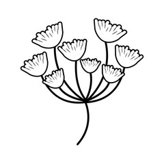 shell shape leaves icon image