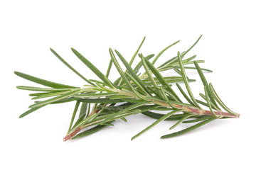 rosemary isolated on white background