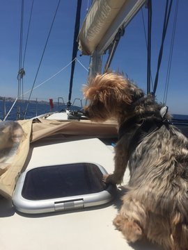Week end en mer
