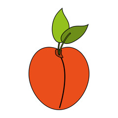 fruit icon image