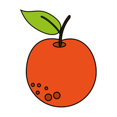 fruit icon image