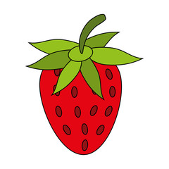 fruit icon image