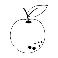 fruit icon image