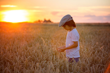 Cheerful child, boy, chasing soap bubbles in a wheat field on sunset