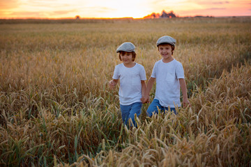 Naklejka na ściany i meble Two cheerful children, boys, walking in a wheat field on sunset