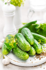 Fresh cucumbers and ingredients for conservation. Preparation marinated salted cucumbers with herbs and salt.