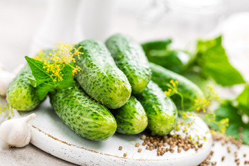 Fresh cucumbers and ingredients for conservation. Preparation marinated salted cucumbers with herbs and salt.