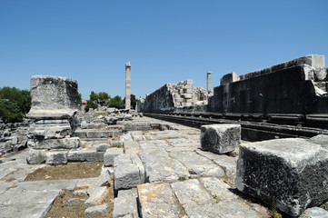 Fototapeta na wymiar Façade nord-ouest du temple d'Apollon à Didymes en Anatolie