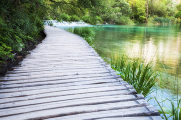 Wooden path over lake