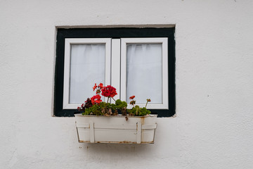 Obraz na płótnie Canvas Flower pot at the house facade
