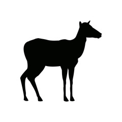 portrait of a standing impala africa mammal wild vector illustration