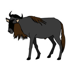 wildebeest standing african wildlife animal vector illustration