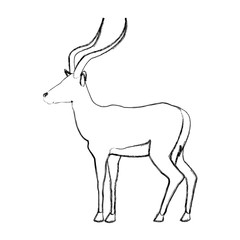 portrait of a standing impala africa mammal wild vector illustration
