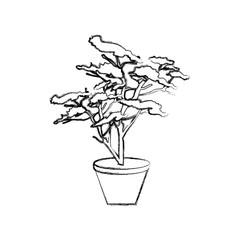 potted plant tree natural botanical vector illustration