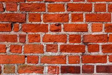 Old bricks texture