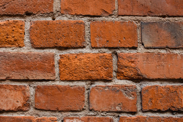 Old bricks texture