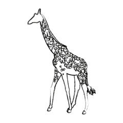 giraffe animal herbivore african wildlife vector illustration