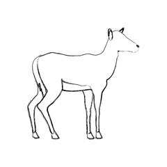portrait of a standing impala africa mammal wild vector illustration