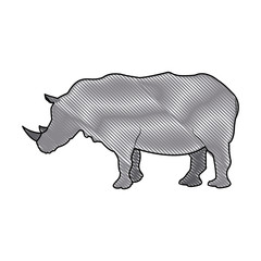rhino wild animal africa exotic mammal vector illustration
