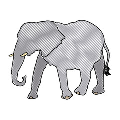elephant wild animal safari african vector illustration