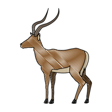 Portrait Of A Standing Impala Africa Mammal Wild Vector Illustration