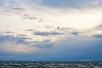 rippled surface of cold sea under sky with fluffy clouds at sunrise
