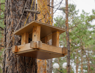 makeshift houses for the birds in the Park
