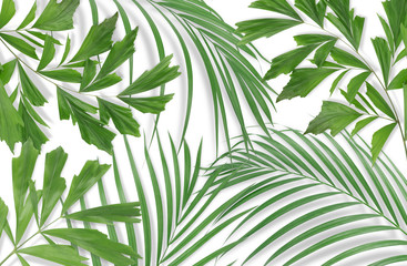 Tropical palm leaves on pink background. Minimal nature. Summer Styled.  Flat lay. High resolution 5500 x 3600 pixels in size
