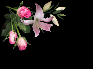 pink lily and three roses on black background