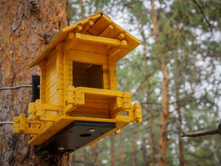 makeshift houses for the birds in the Park