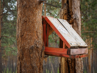 makeshift houses for the birds in the Park
