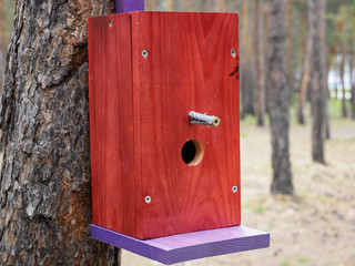 makeshift houses for the birds in the Park