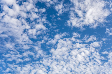 Fototapeta premium Blue sky and clouds background.